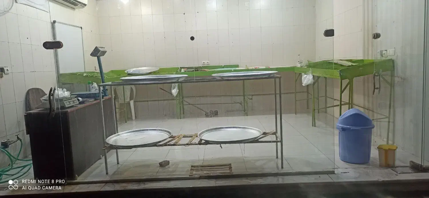 میز|فروشگاه و مغازه|زرین دشت (فارس), |دیوار