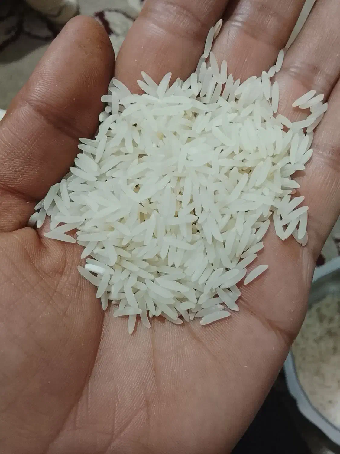 برنج فجر|خوردنی و آشامیدنی|گرگان, |دیوار