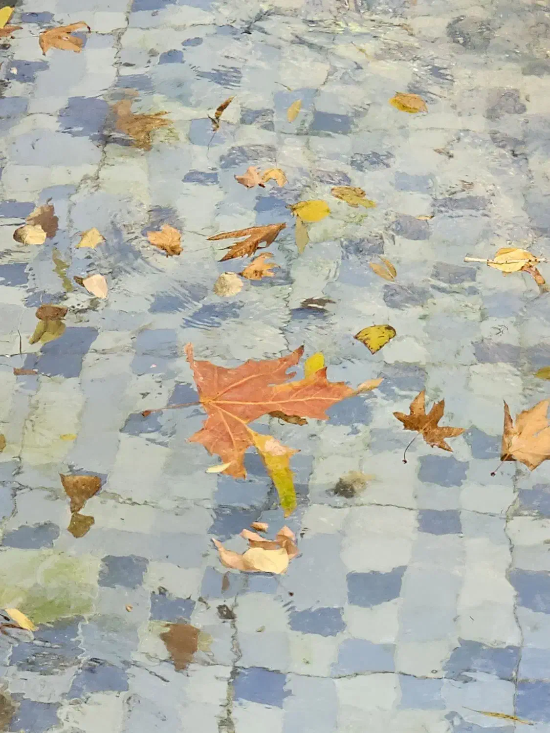 بلاگر و ادمین اینستاگرام|استخدام هنری و رسانه|مرودشت, شهرک مهدیه|دیوار