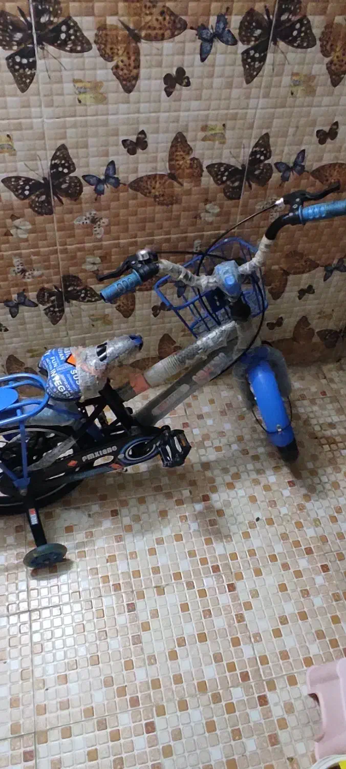 فروش دوچرخه|دوچرخه، اسکیت، اسکوتر|فنوج, |دیوار