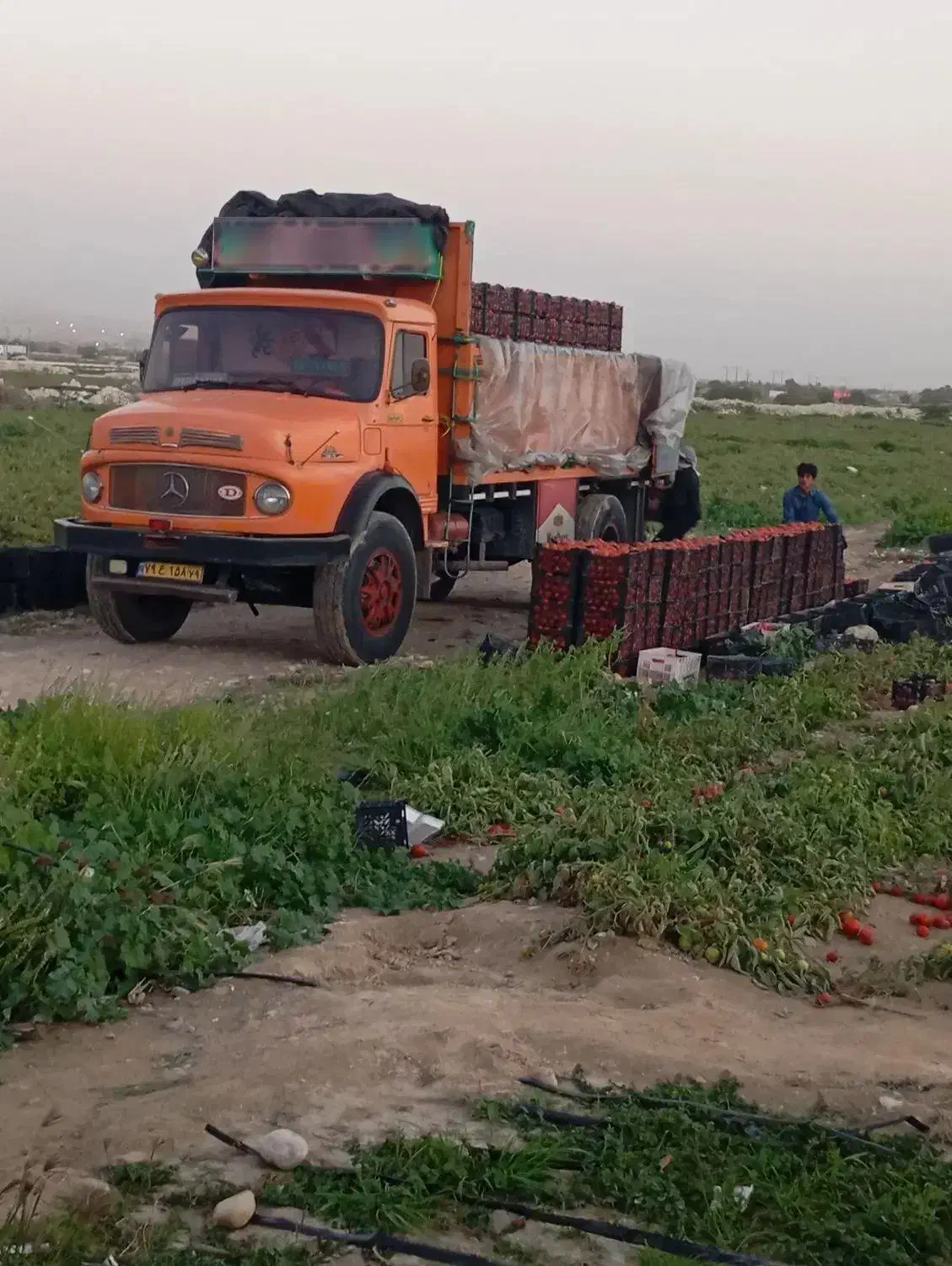 بنز تک فروشی|خودرو سنگین|دشتابی, |دیوار