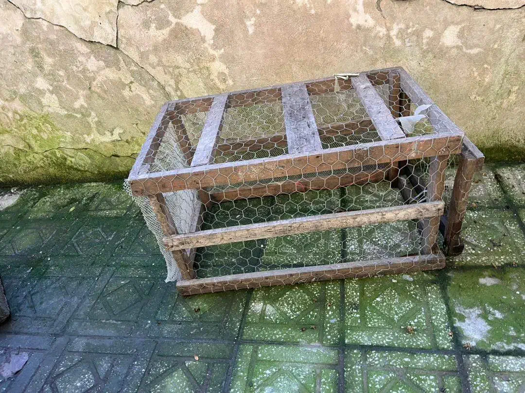 فروش دو عددقفس مرغ و حیوانات هردو با هم 800000|لوازم جانبی حیوانات|رشت, کاکتوس|دیوار