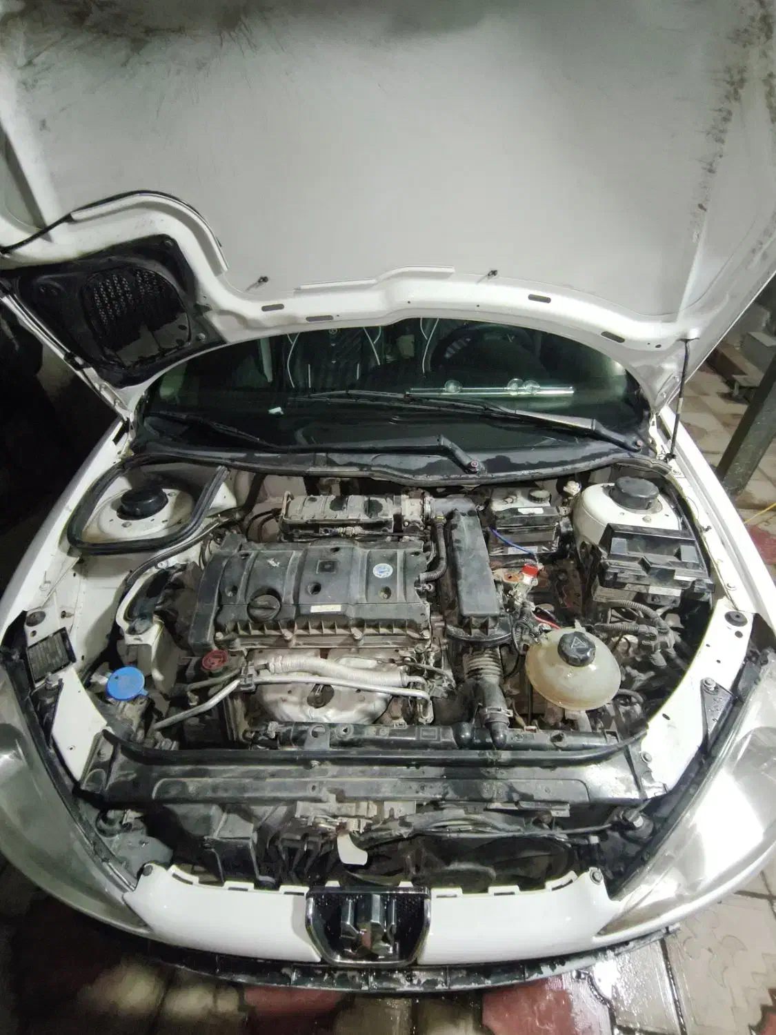 206v8مدل 94|خودرو سواری و وانت|یزد, |دیوار