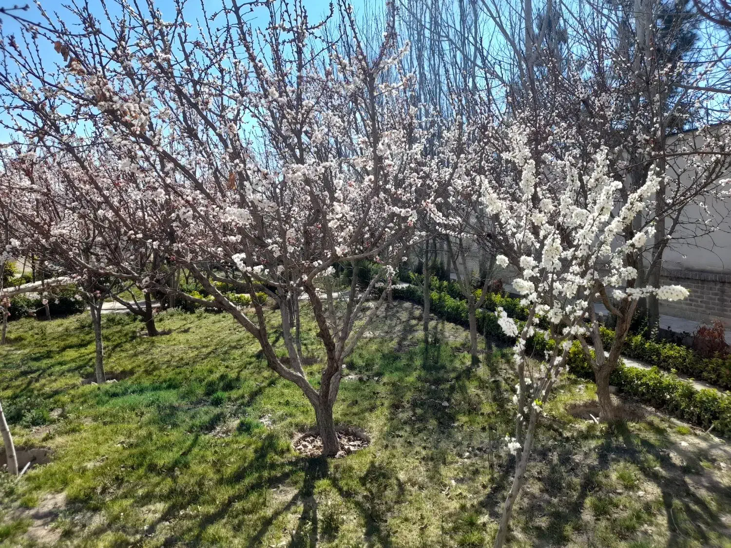 استخدام مربی حرفه اموزی|استخدام آموزشی|صفادشت, |دیوار