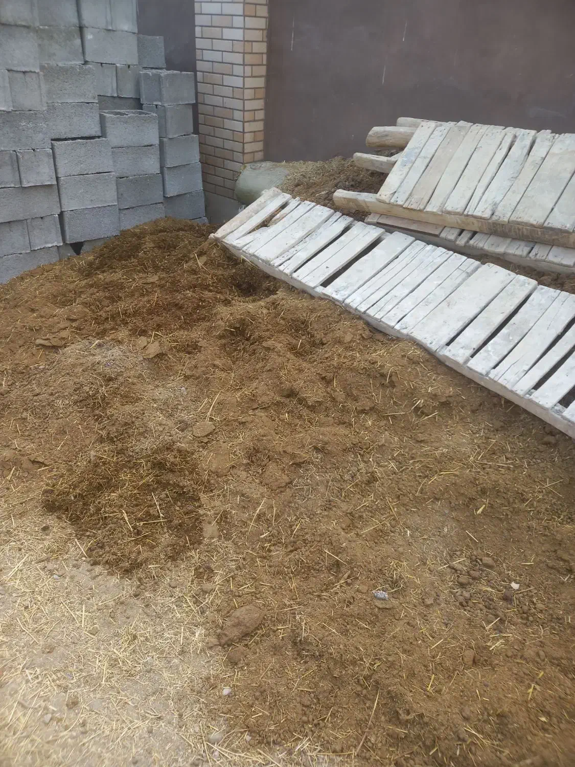 زل مرغ کود گوسفندگاو|گل و گیاه طبیعی|خمینی‌شهر, |دیوار