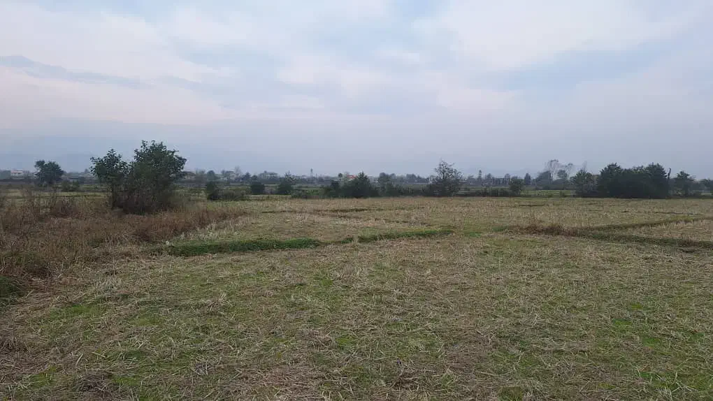 زمین‌ مزروعی ۱۵/۰۰۰متری تسطیح‌نشده در تالش کلفارود|فروش زمین و ملک کلنگی|تالش, طولارود|دیوار