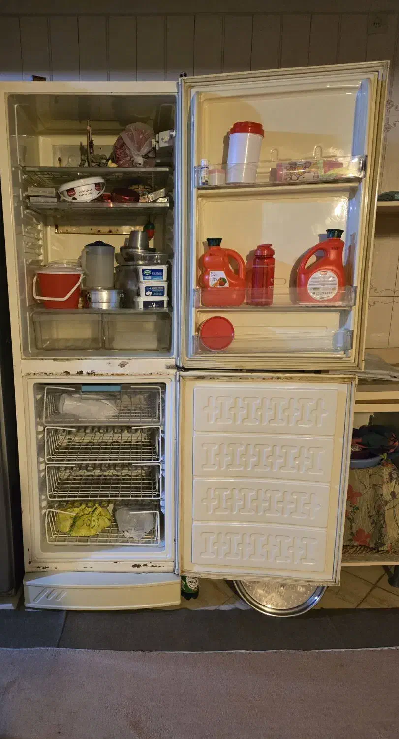 یخچال|یخچال و فریزر|باغستان, |دیوار