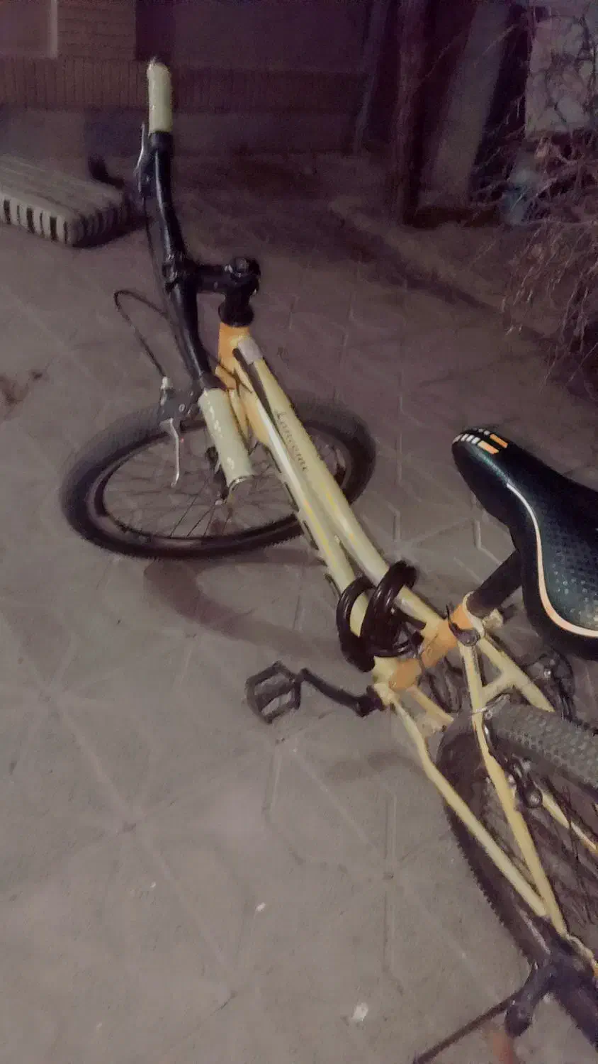 دوچرخه ۲۴ فاریس درحد نو|دوچرخه، اسکیت، اسکوتر|گلبهار, شهر جدید گلبهار|دیوار