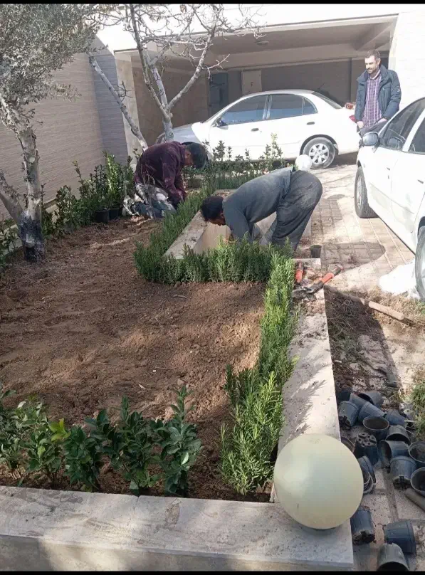 نمایندگی خدمات کشاورزی کود سم نهال و مشاوره|خدمات باغبانی و درختکاری|زاهدان, |دیوار