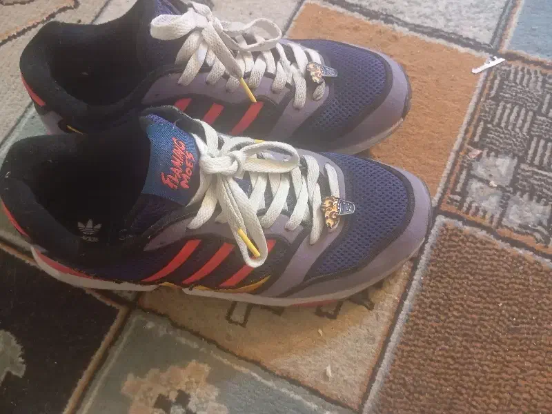 زد ایکس|کیف، کفش، کمربند|تهران, تهرانویلا|دیوار