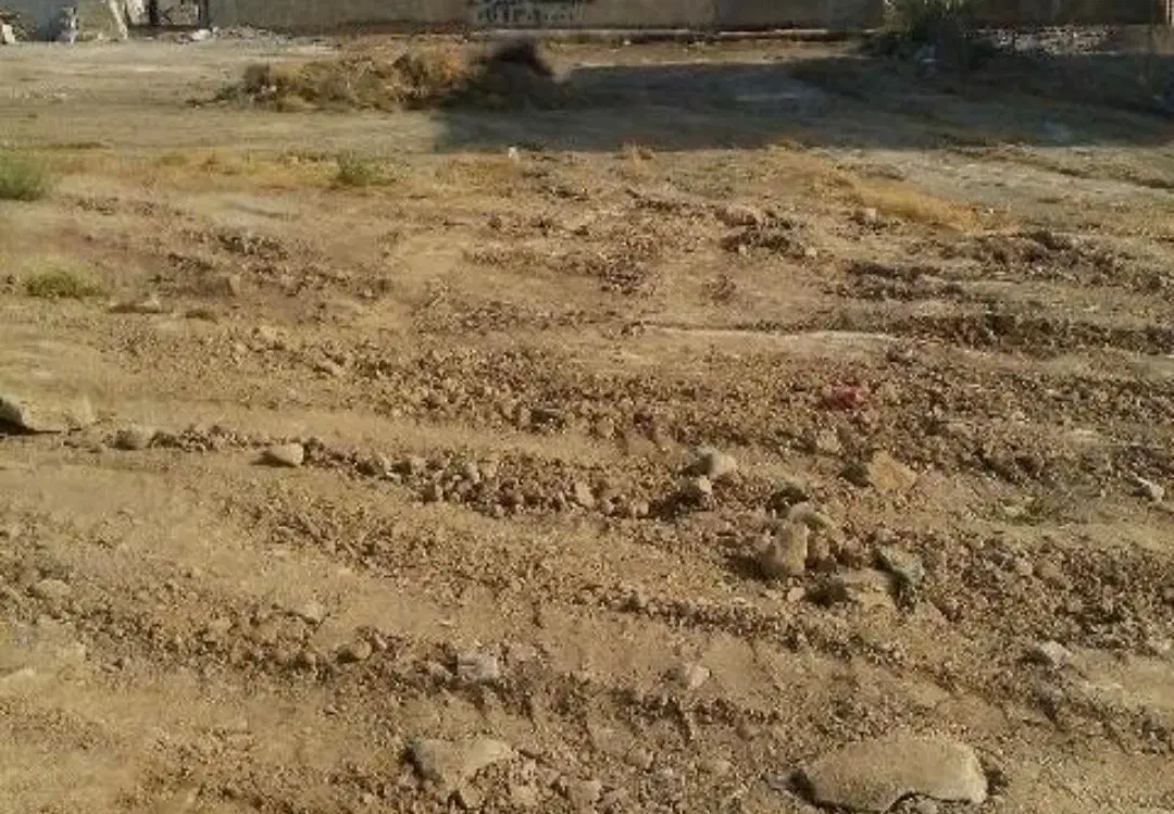 زمین|فروش زمین و ملک کلنگی|بمپور, |دیوار