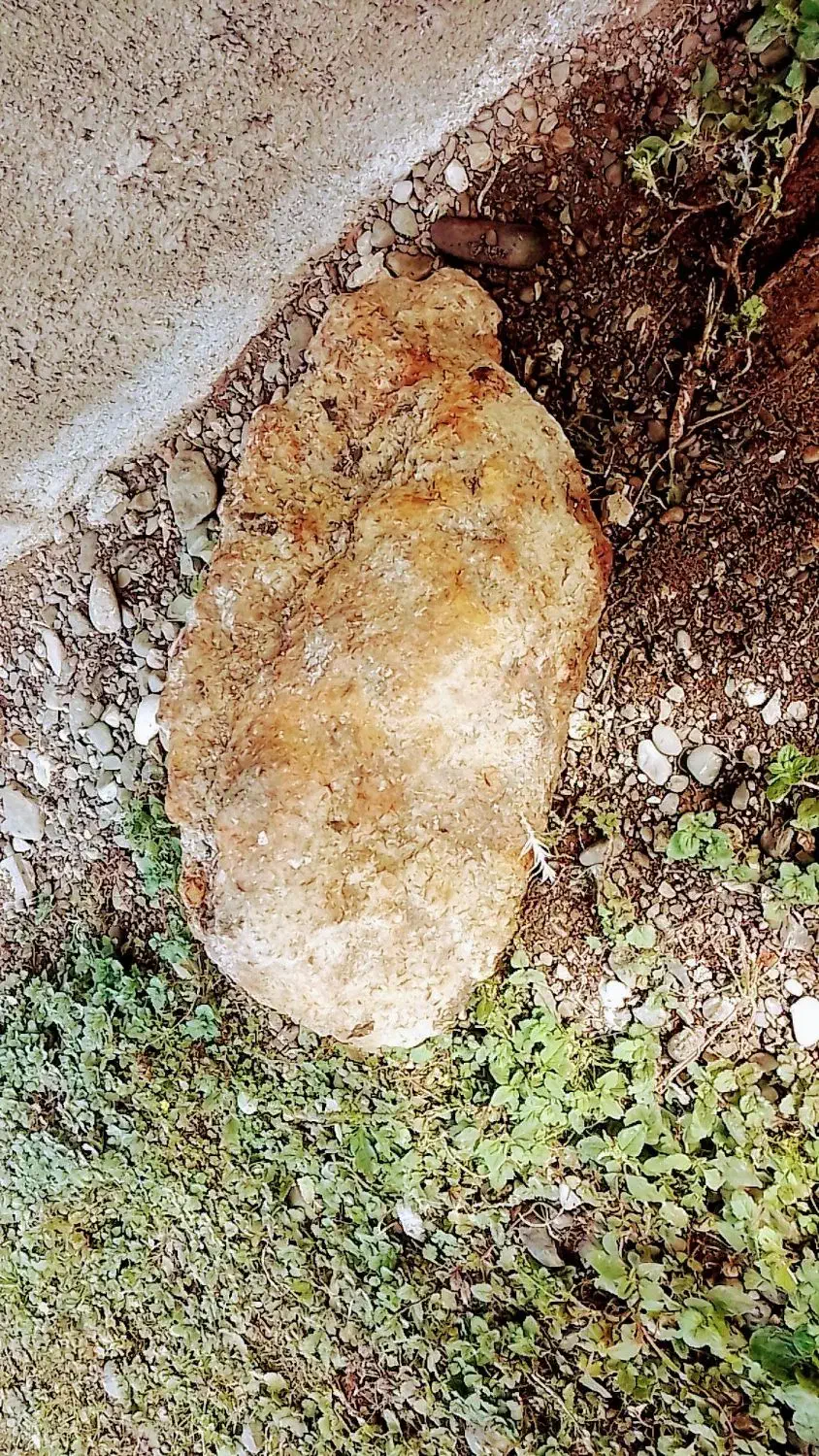 شهاب سنگ|کلکسیون اشیاء عتیقه|تالش, جوکندان|دیوار