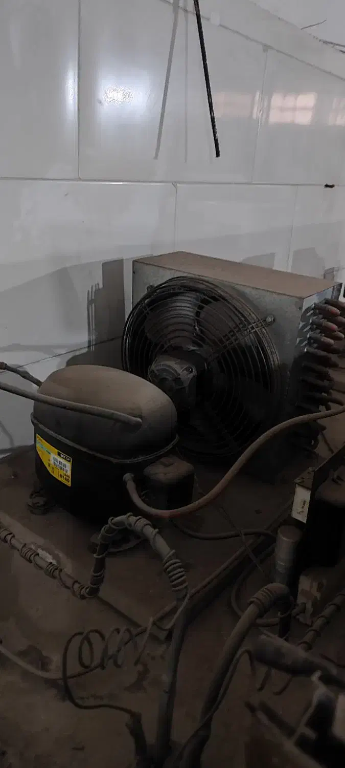 یخچال فریزر صنعتی در حد نو|فروشگاه و مغازه|گلبهار, شهر جدید گلبهار|دیوار