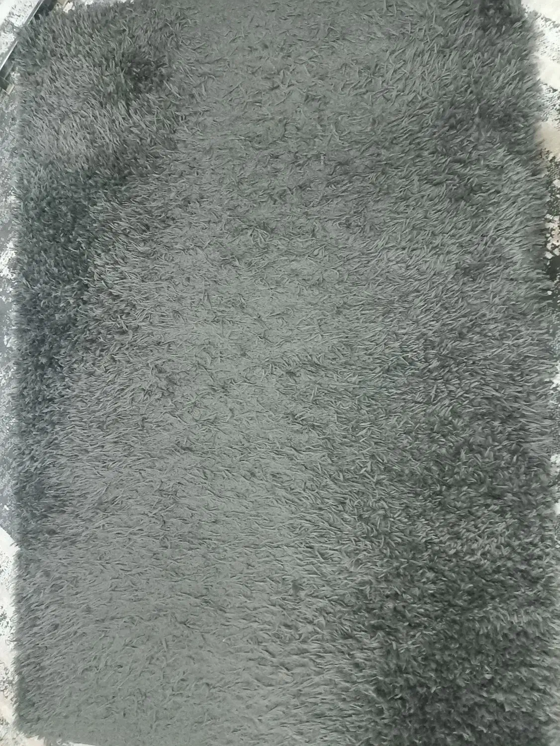 پادری|پادری|کرج, کوی مدرس|دیوار