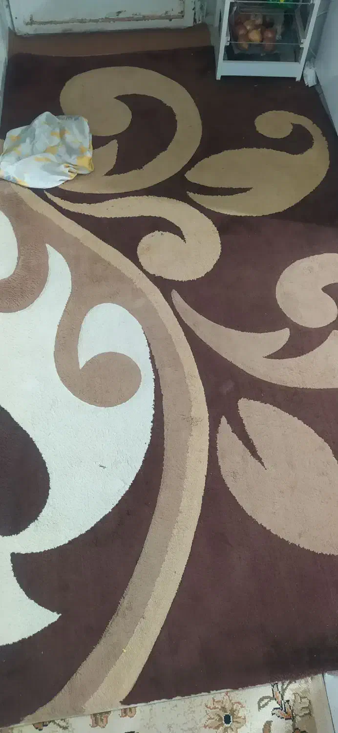 فرش فانتزی ۱.۲۰×۲.۲۰|فرش|مشهد, رستگار|دیوار