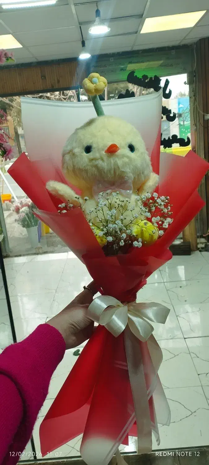 گل طبیعی|گل و گیاه طبیعی|بیرجند, |دیوار