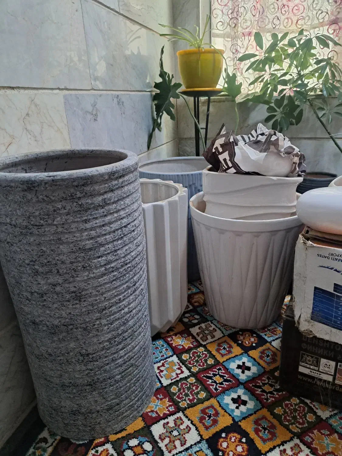 گلدان بزرگ|گل و گیاه طبیعی|تهران, نارمک|دیوار