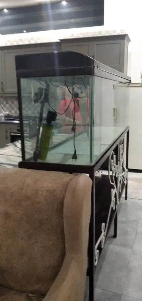 آکواریوم|ماهی|شهریار, بکه|دیوار