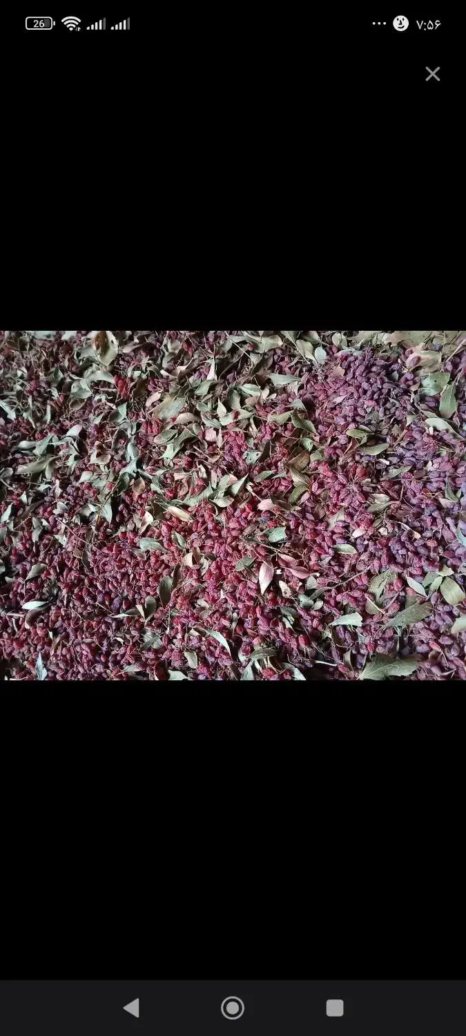 زرشک پفکی|خوردنی و آشامیدنی|سده (خراسان جنوبی), |دیوار