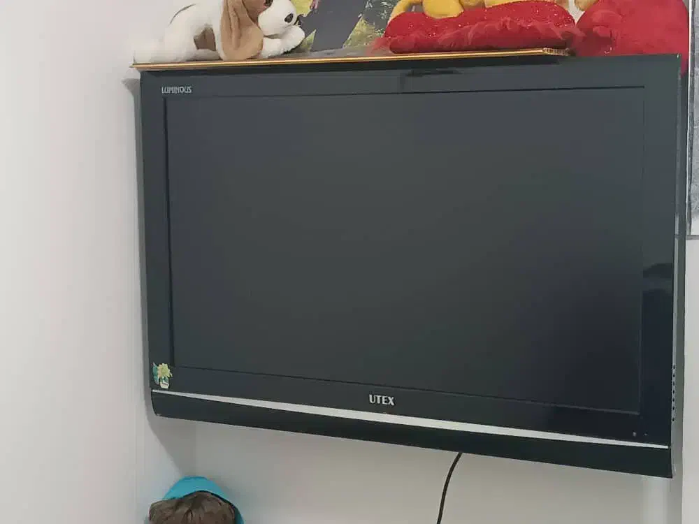 تلویزیون|تلویزیون و پروژکتور|چالوس, |دیوار