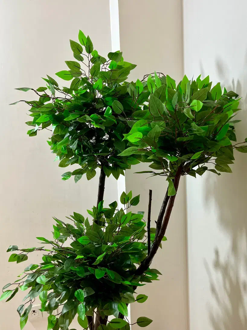 ساخت انواع درختچه مصنوعی|گل مصنوعی|گرگان, |دیوار