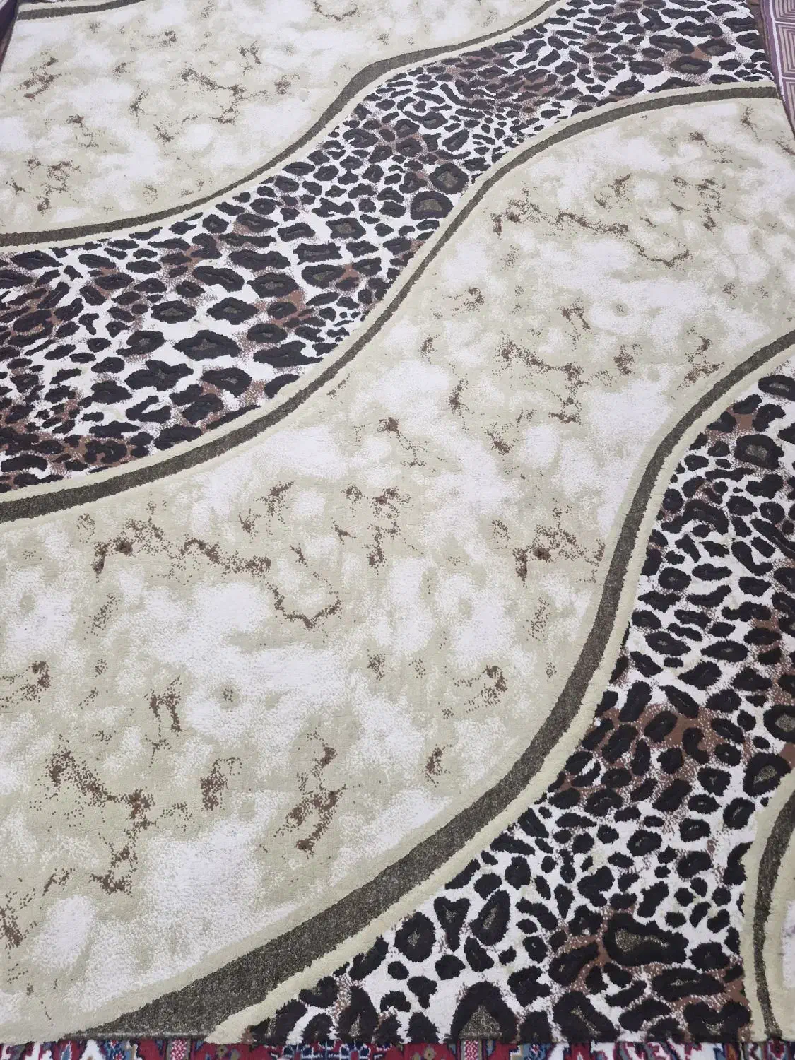 فرش شیش متری|فرش|شفت, |دیوار