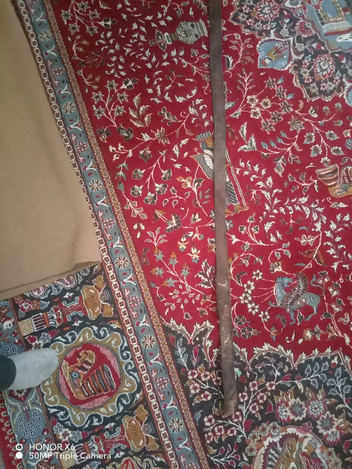 کمربند|کیف، کفش، کمربند|شهرضا, |دیوار