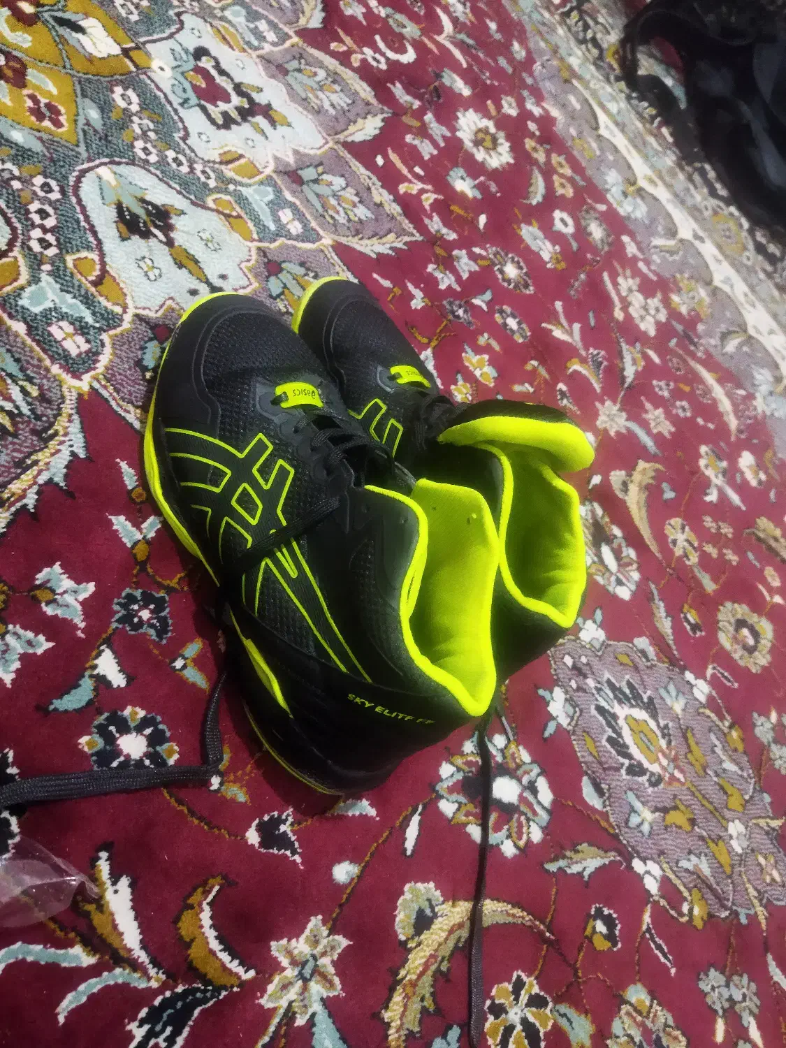 کفش والیبال|کیف، کفش، کمربند|مرودشت, ثبت احوال|دیوار