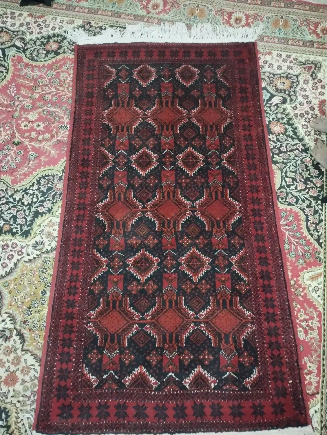 فرش دست بافت دانه 3 میلیون|فرش|تایباد, |دیوار