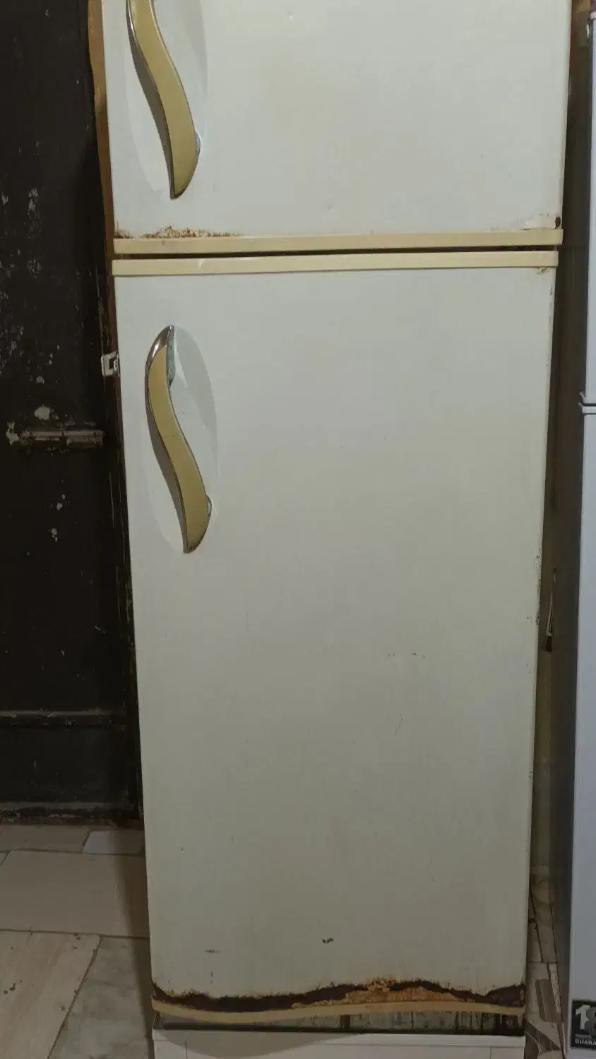 یخچال|یخچال و فریزر|شیراز, جوادیه|دیوار