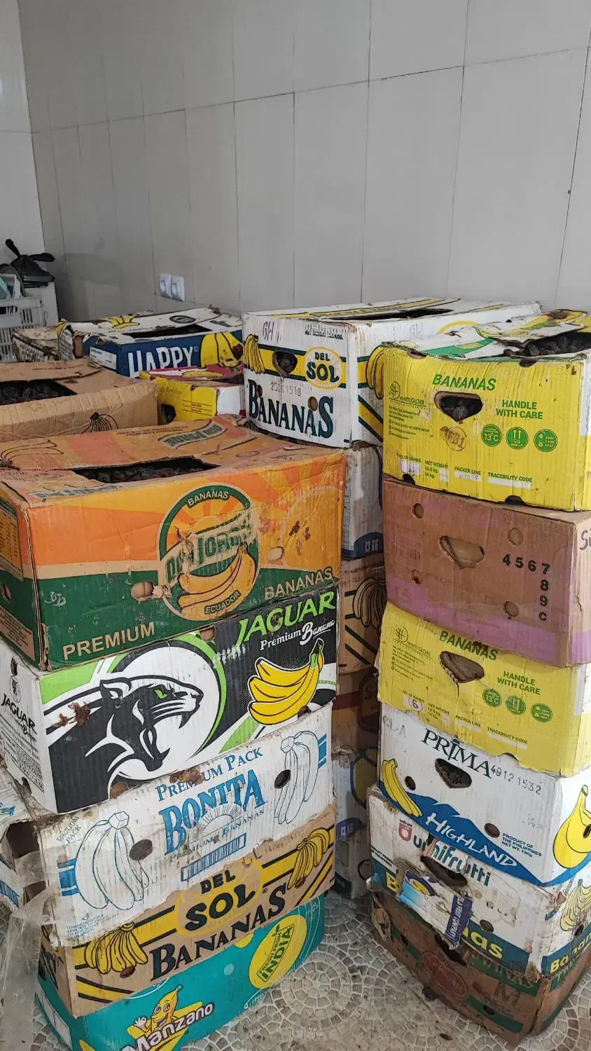 خرمای پاک کرده|خوردنی و آشامیدنی|سعدآباد, |دیوار