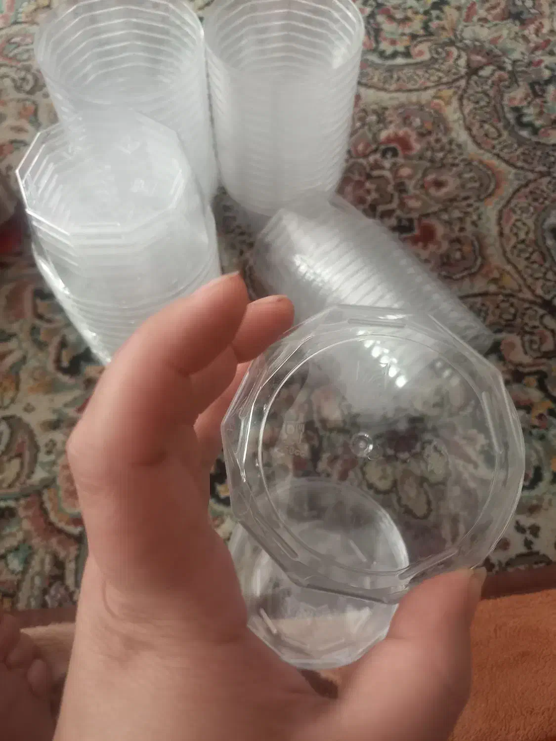 ظرف درب دارتلقی|ظروف نگهدارنده، پلاستیکی، یک‌بارمصرف|قم, نوبهار|دیوار