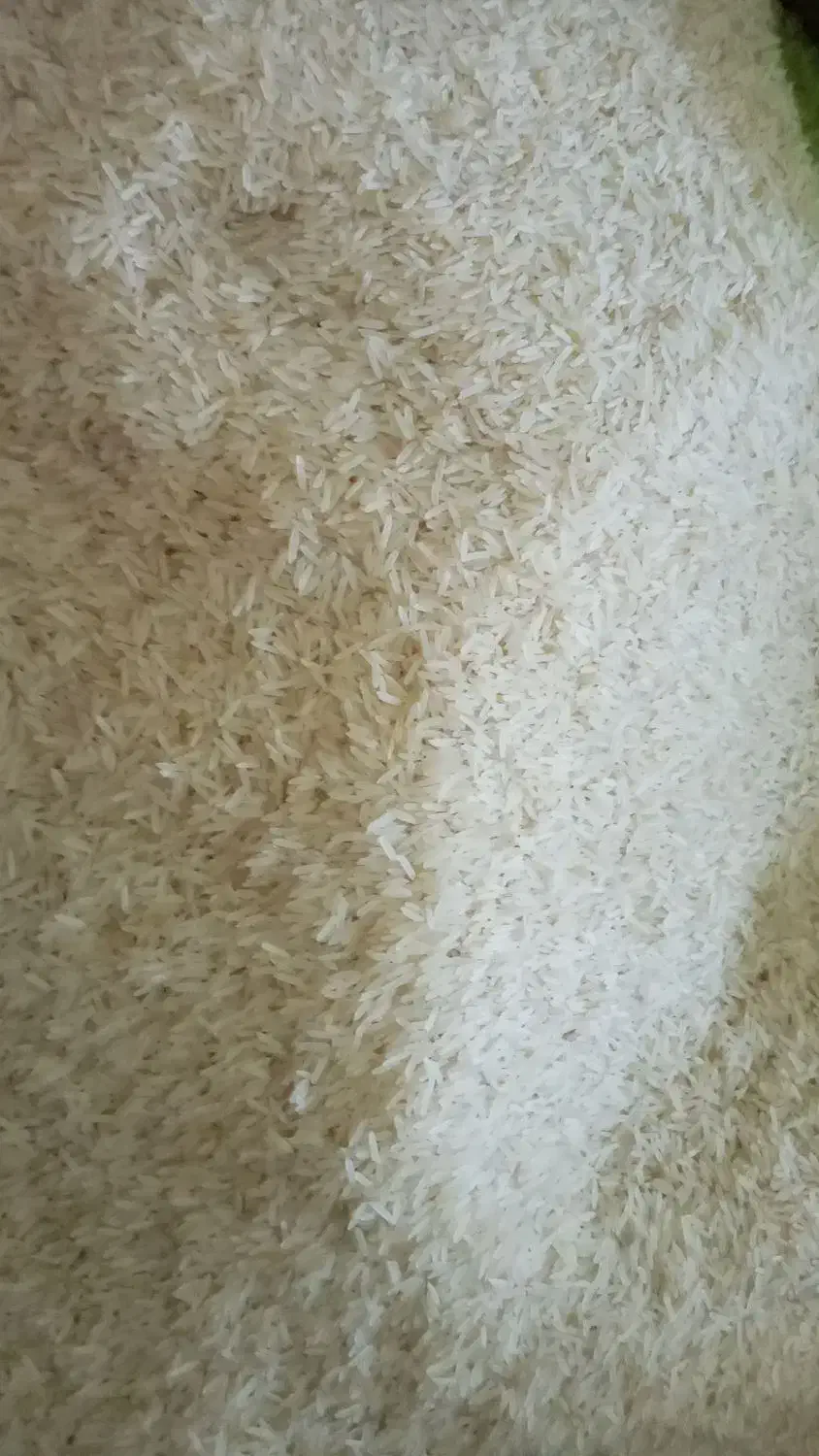 برنج هندی|خوردنی و آشامیدنی|قزوین, |دیوار