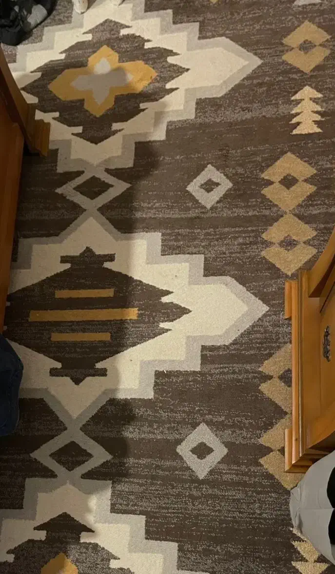 دو تخت فرش ۶ متری|فرش|لاهیجان, شیخ زاهد|دیوار