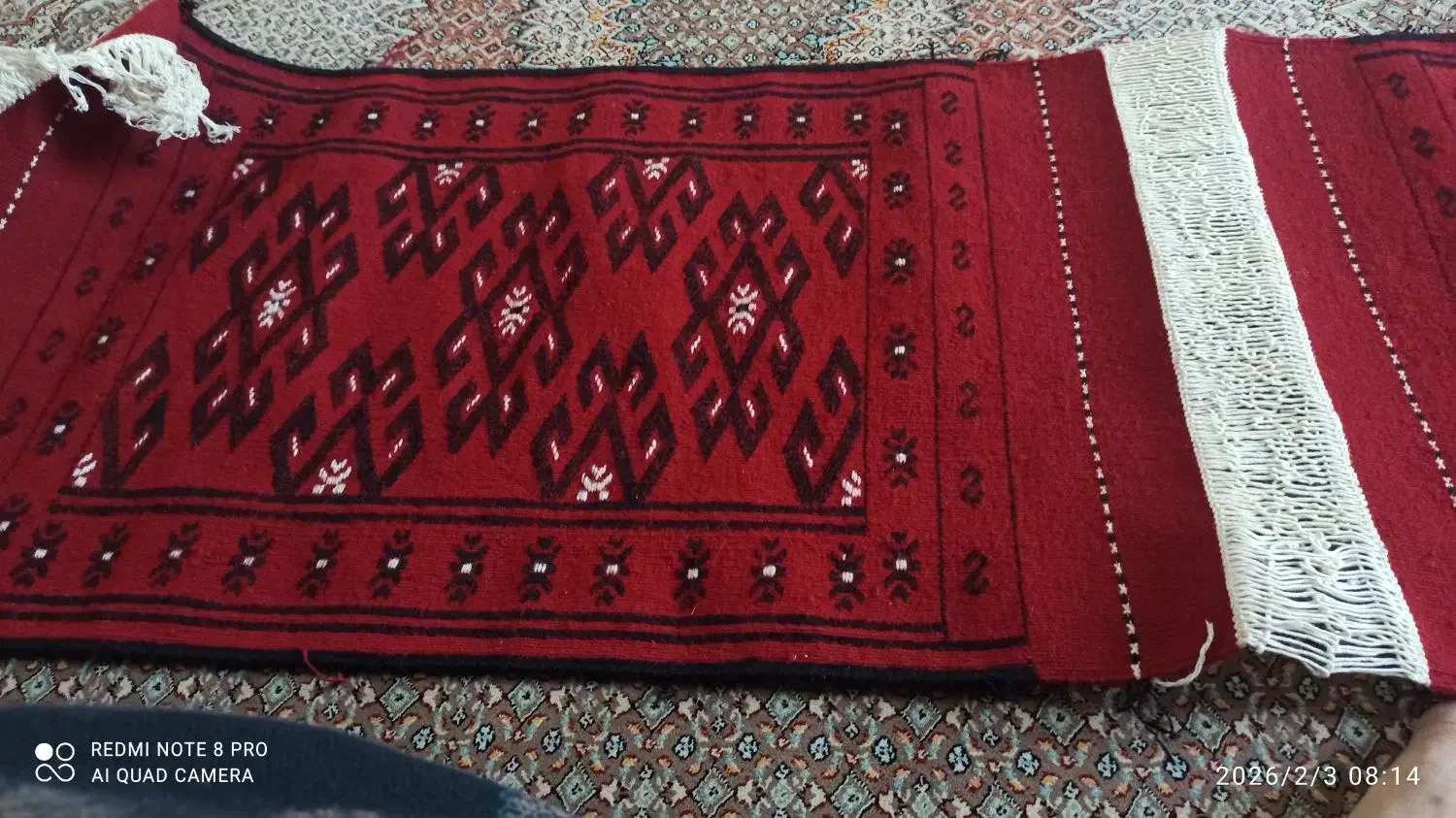 پادری جفت|پادری|آق قلا, |دیوار