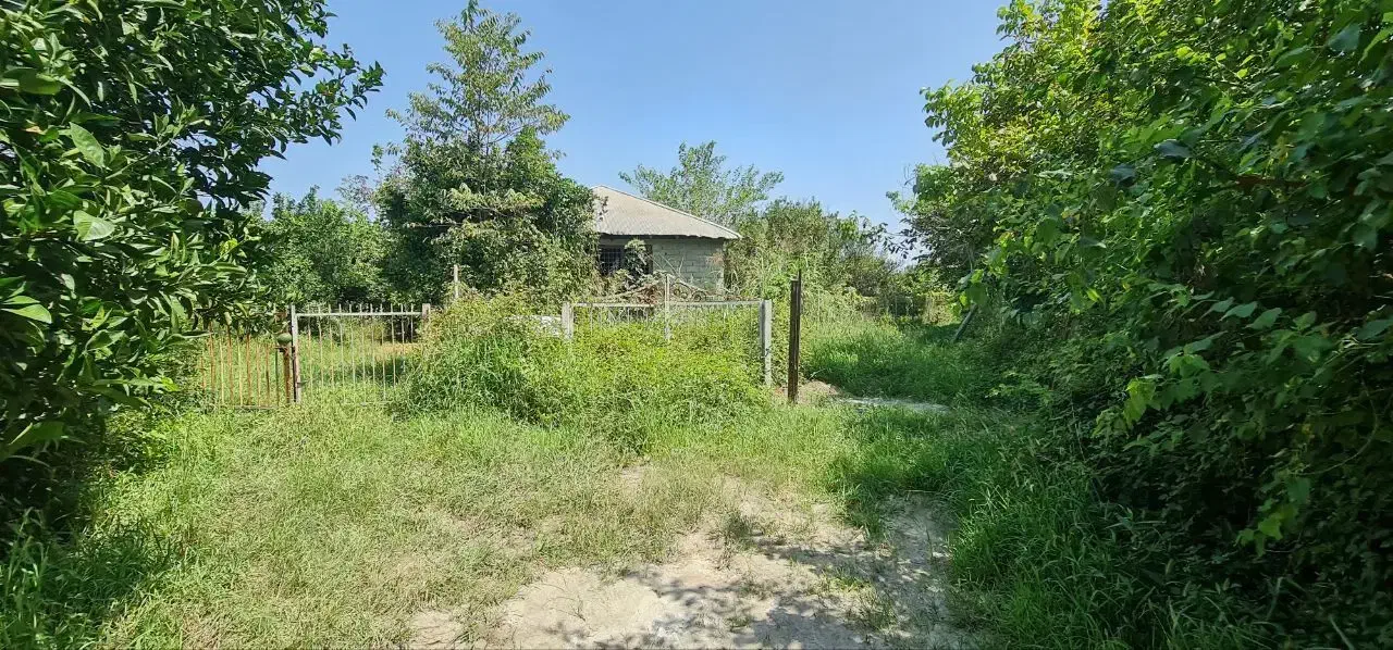 فروش ملک در منطقه آزاد اقتصادی شمال کشور|فروش زمین و ملک کلنگی|خرمآباد (تنکابن), |دیوار