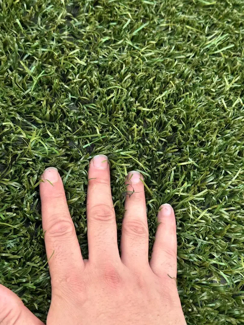 چمن کارکرده|گل مصنوعی|ری, سیزده آبان|دیوار