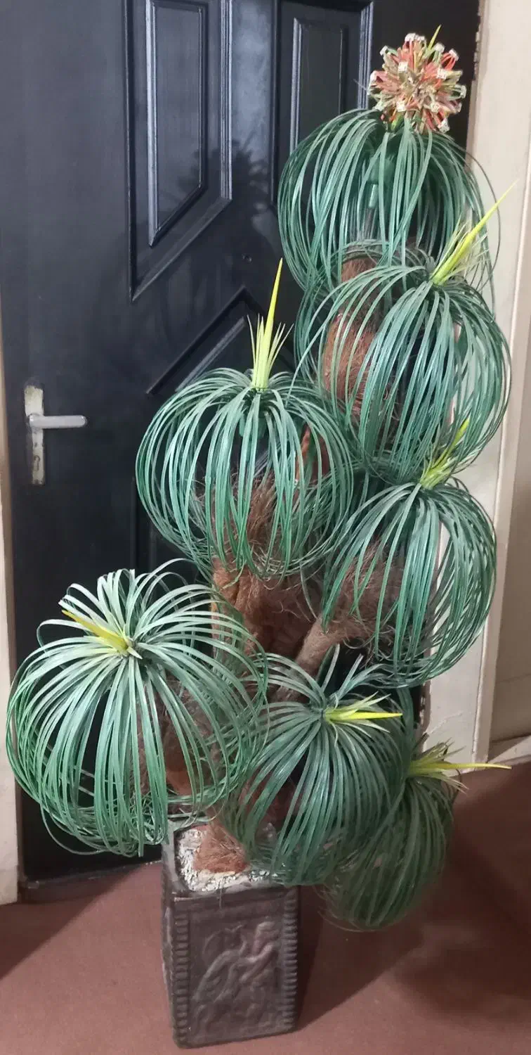 درخچه نخل مصنوعی|گل مصنوعی|اندیشه, اندیشه فاز ۱|دیوار