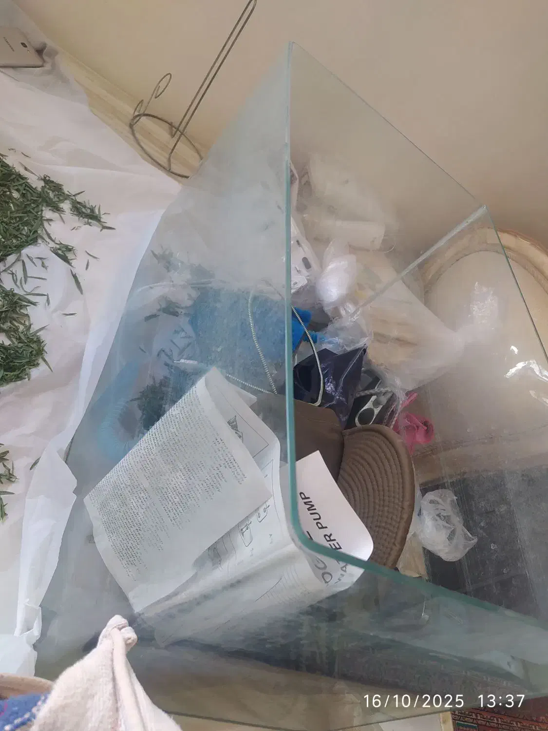 اکواریوم شیشه خم|ماهی|کرج, پیشاهنگی|دیوار