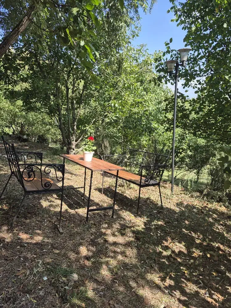 اجاره روزانه ویلا باغ جنگل سلانسر|اجارهٔ کوتاه‌مدت ویلا و باغ|رستم‌آباد, |دیوار