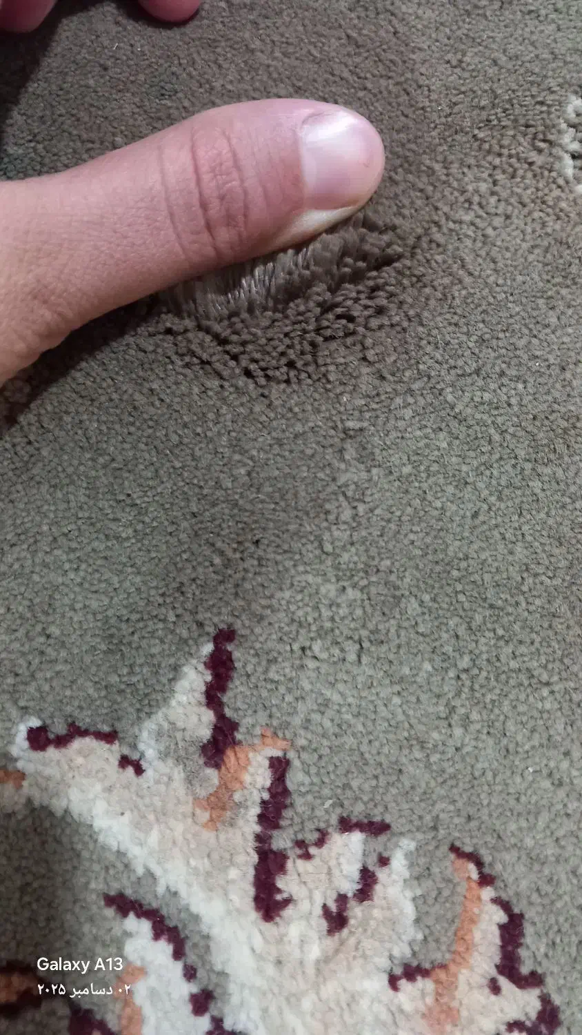 فرش نمام نخ|فرش|سلیمان, |دیوار