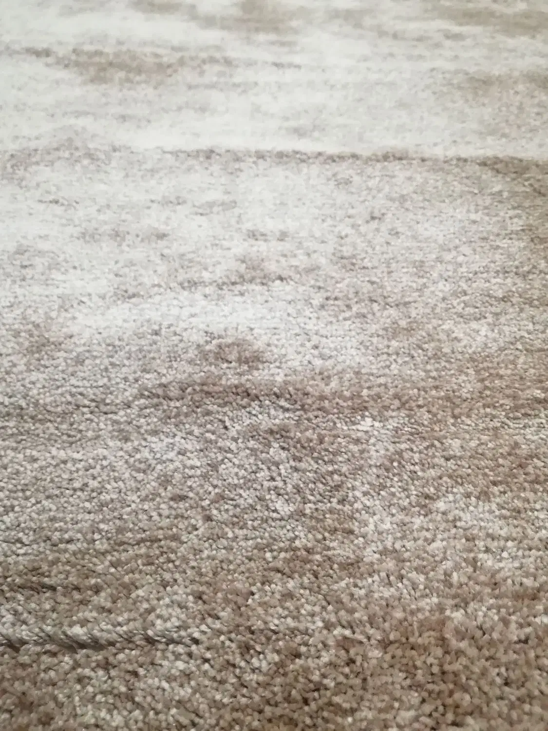 پالاز موکت اصلی صفر 2/30در،3 متر|موکت|سردشت, |دیوار