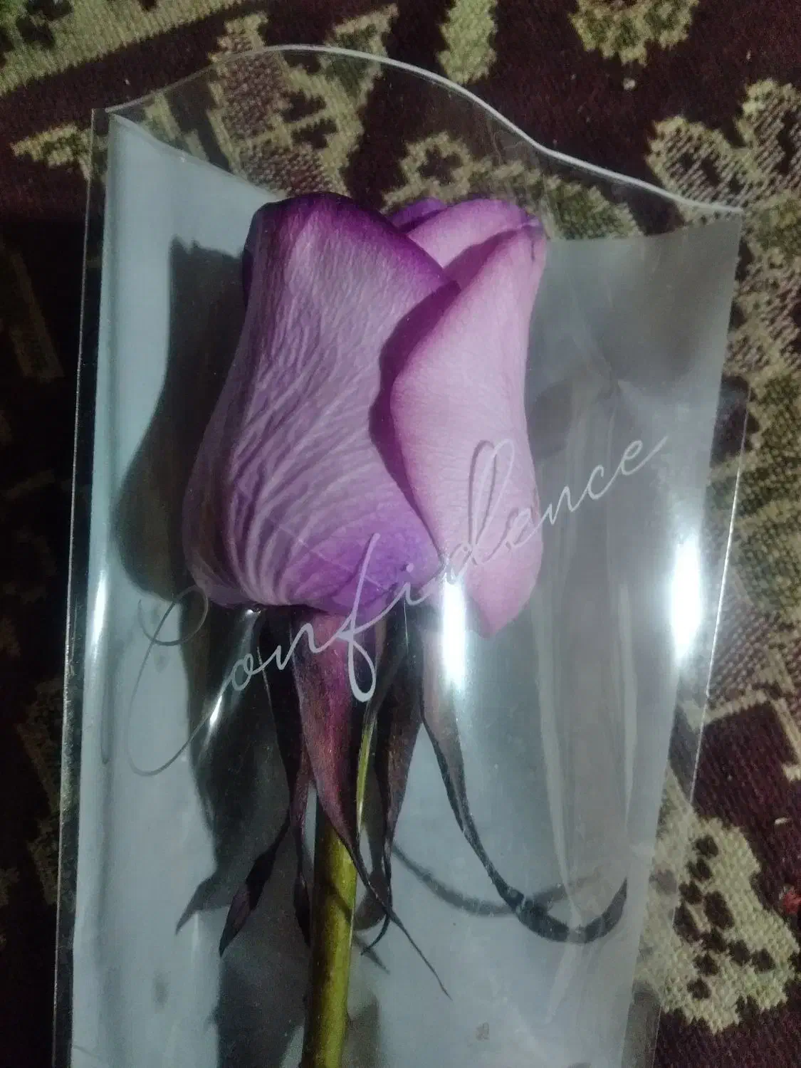 گل نرگس و گل رز زیر قیمت بازار|گل و گیاه طبیعی|گنبد کاووس, |دیوار