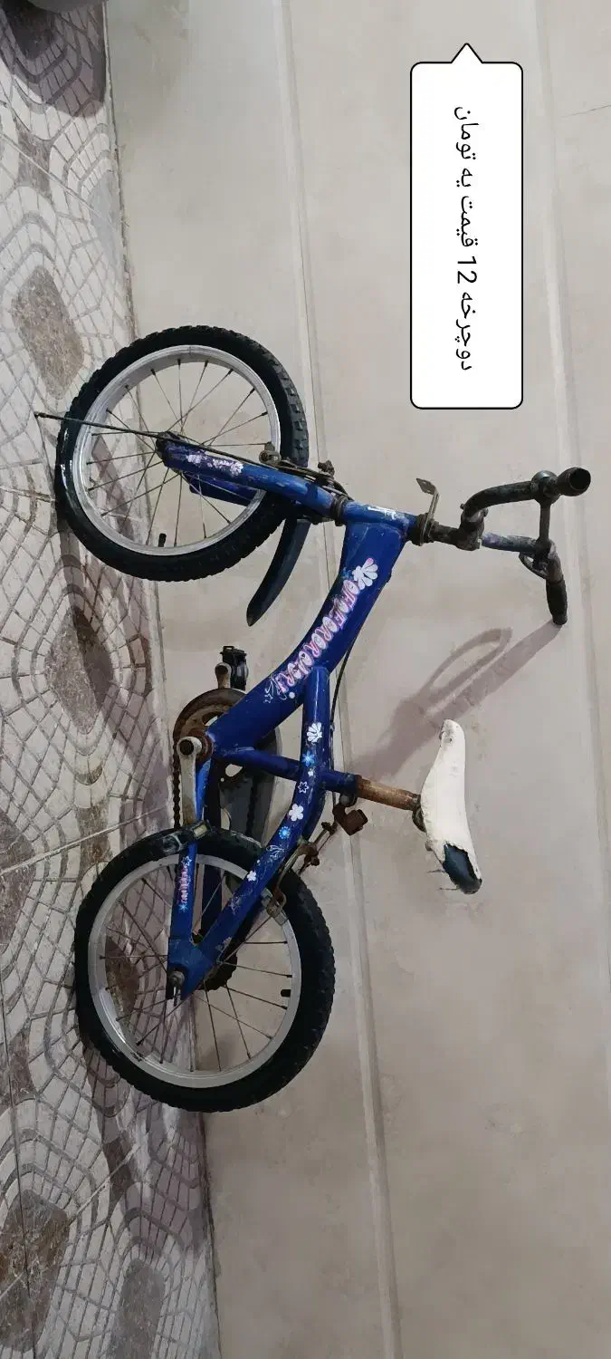 دوچرخه|دوچرخه، اسکیت، اسکوتر|برازجان, |دیوار