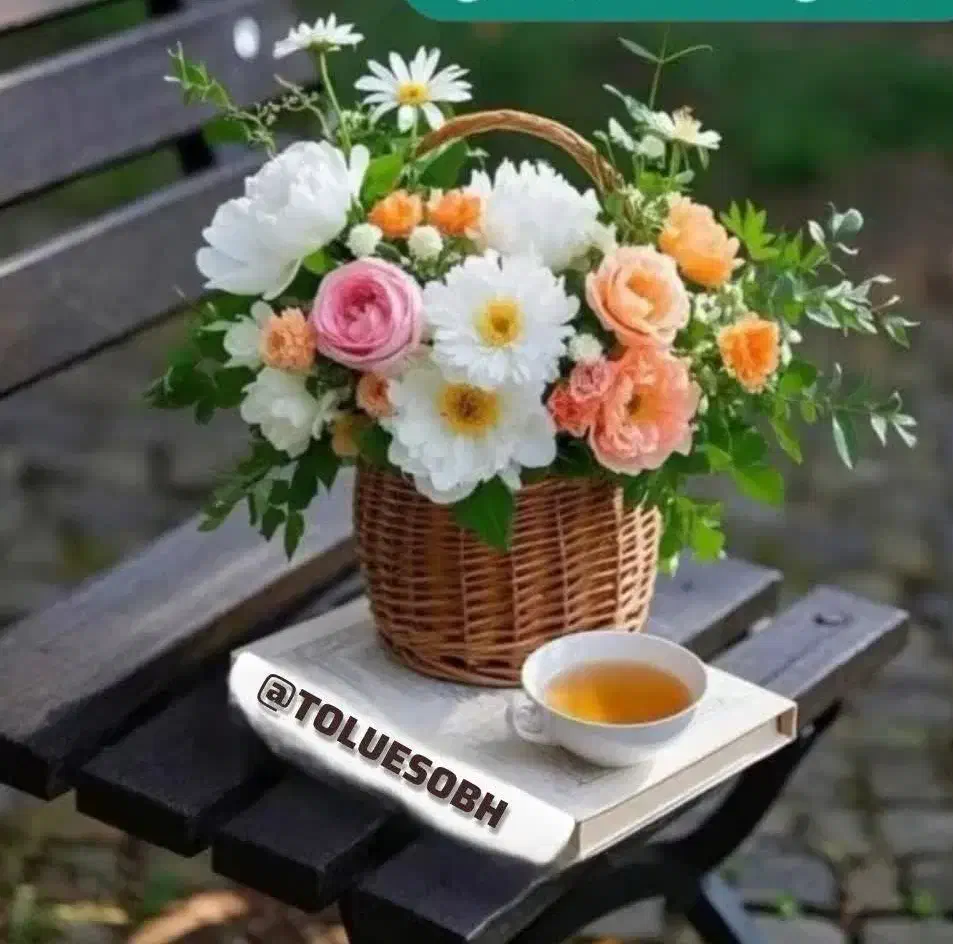 بذر گندم رقم باسیلو|خدمات باغبانی و درختکاری|پارس‌آباد, |دیوار