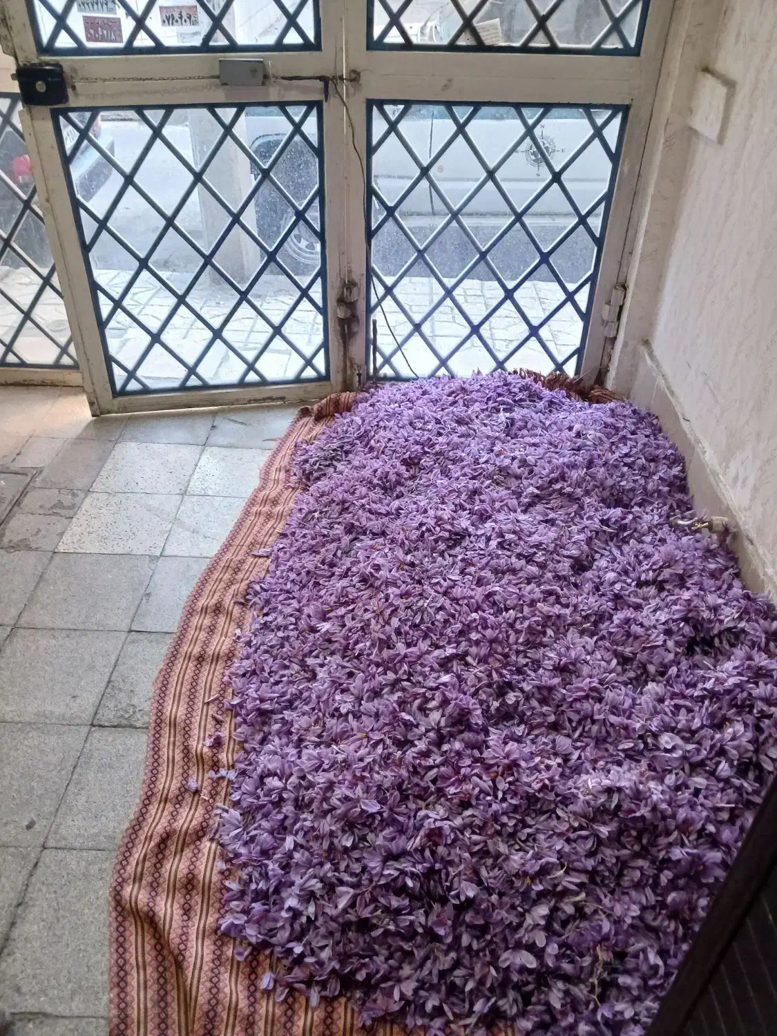 زعفران اتویی صادراتی کشاورز تربت|خوردنی و آشامیدنی|مشهد, فتح المبین|دیوار