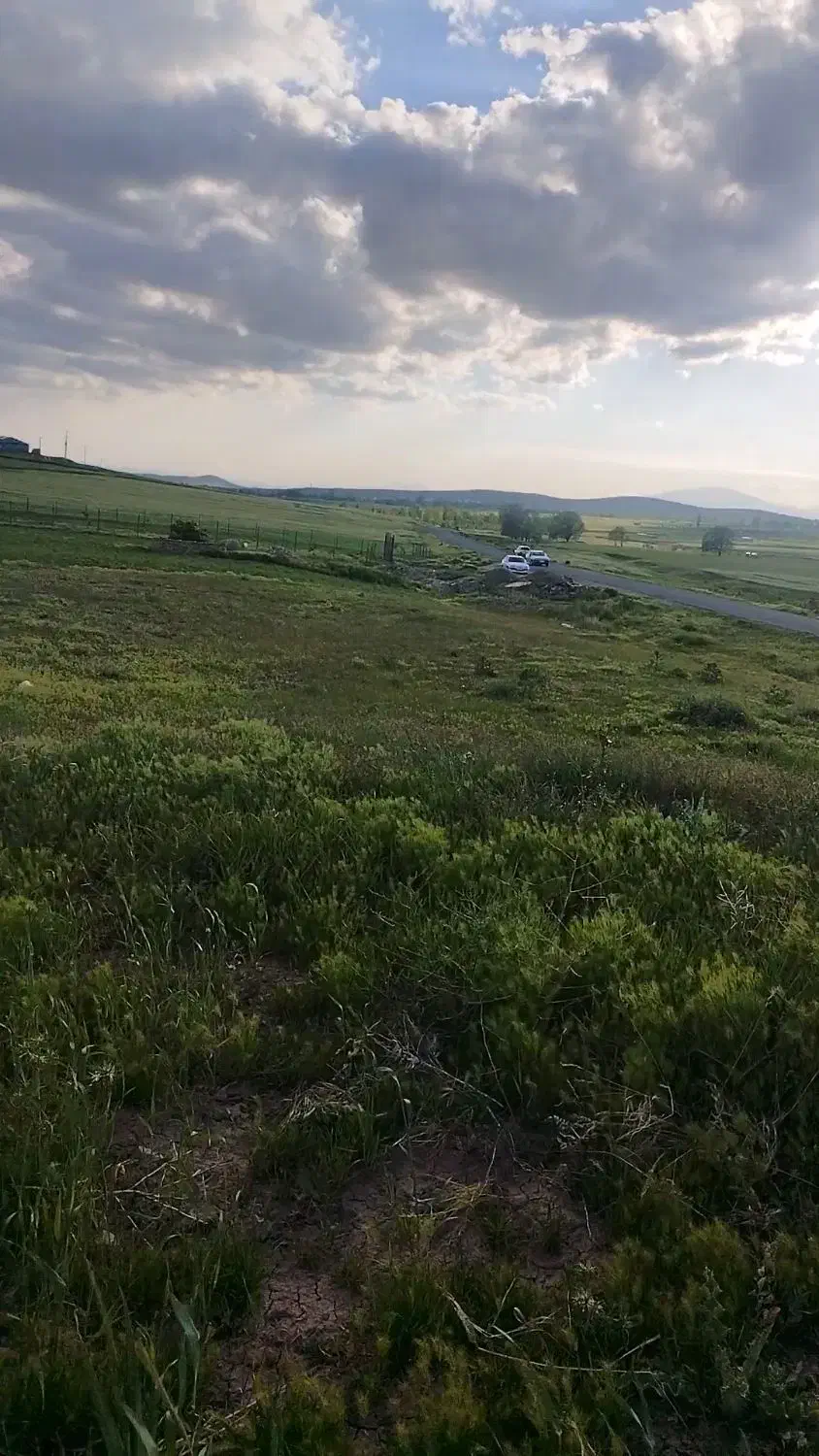 زمین کشاورزی ۶۵۰۰|فروش زمین و ملک کلنگی|هریس, |دیوار