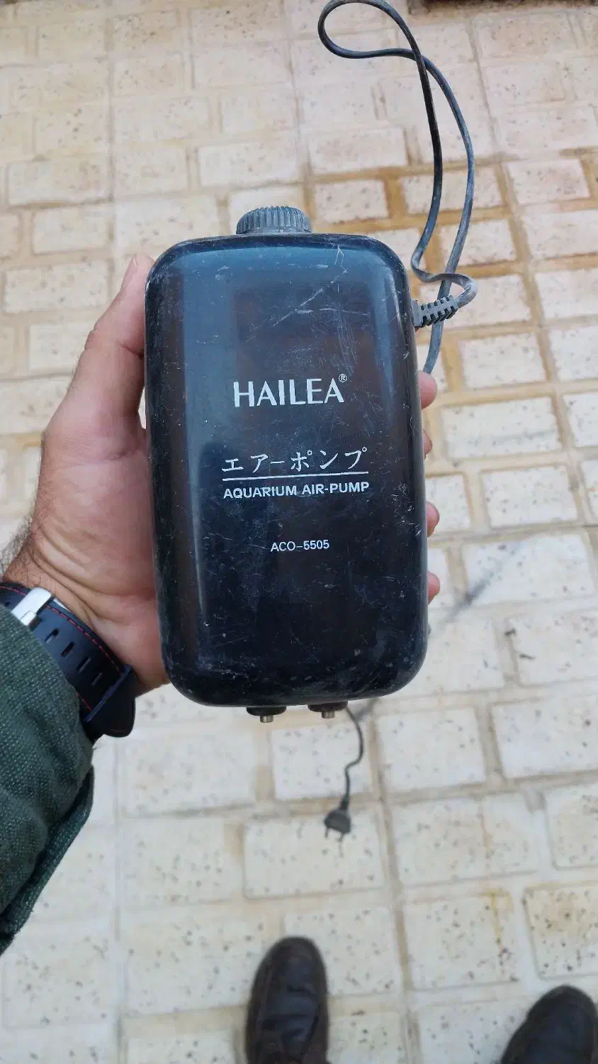 پمپ هوای آکواریوم|ماهی|چرداول, |دیوار