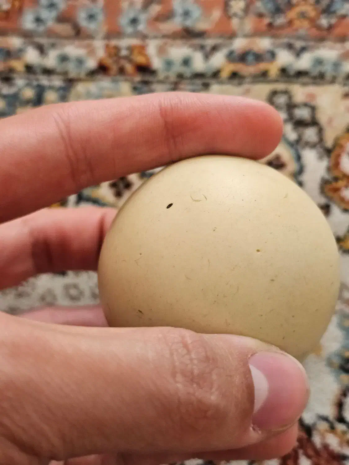 سنگ الماس اسیاب|کلکسیون اشیاء عتیقه|تهران, جوادیه تهرانپارس|دیوار