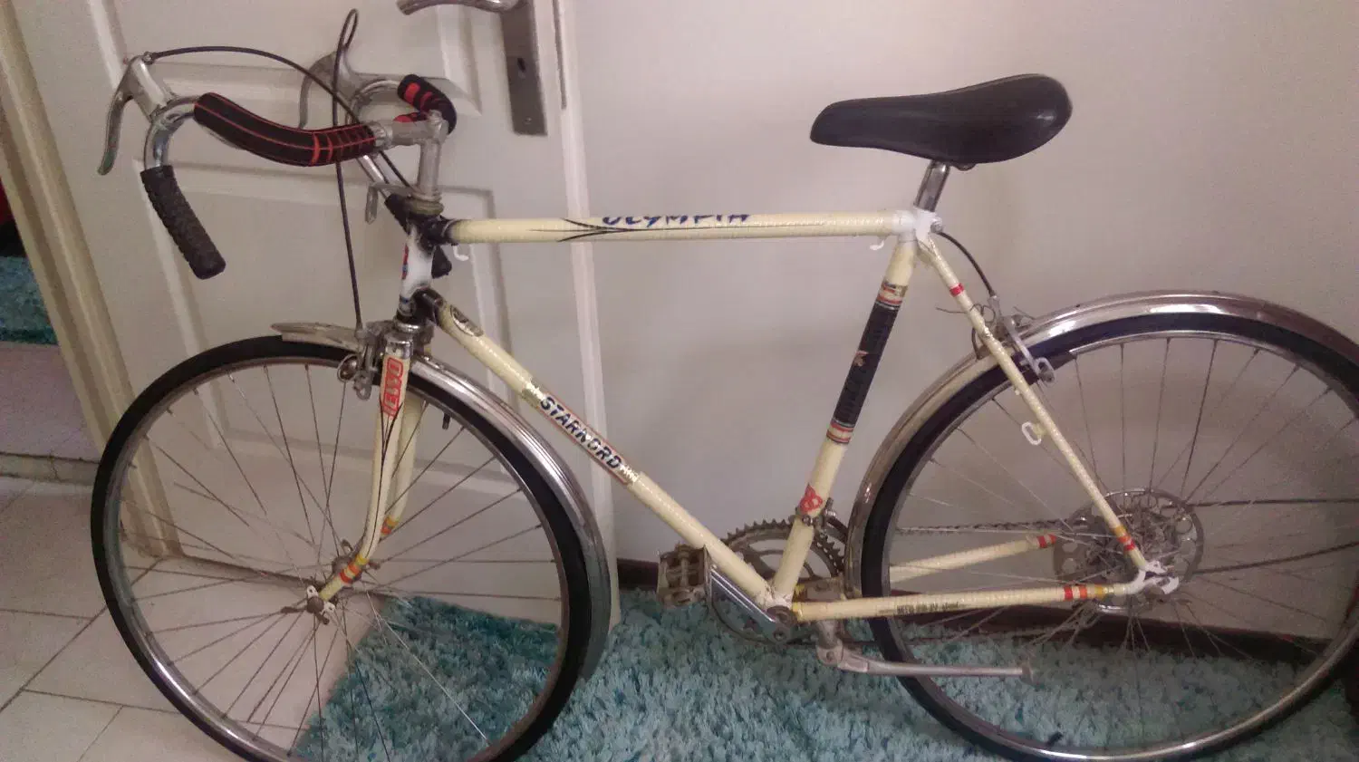 استارنورد اصل فرانسه با سند با لوازم اضافه|دوچرخه، اسکیت، اسکوتر|تهران, منیریه|دیوار